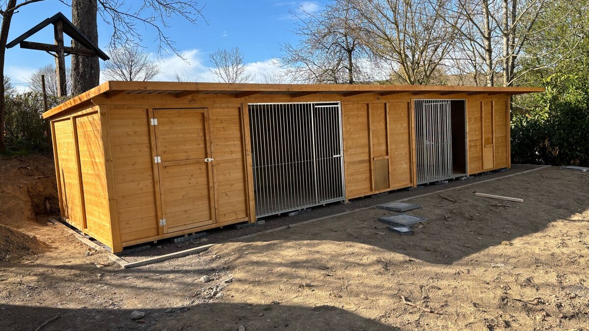 Doppelzwinger mit zwei Abteilen und mittiger Trennwand